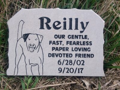 pet stone